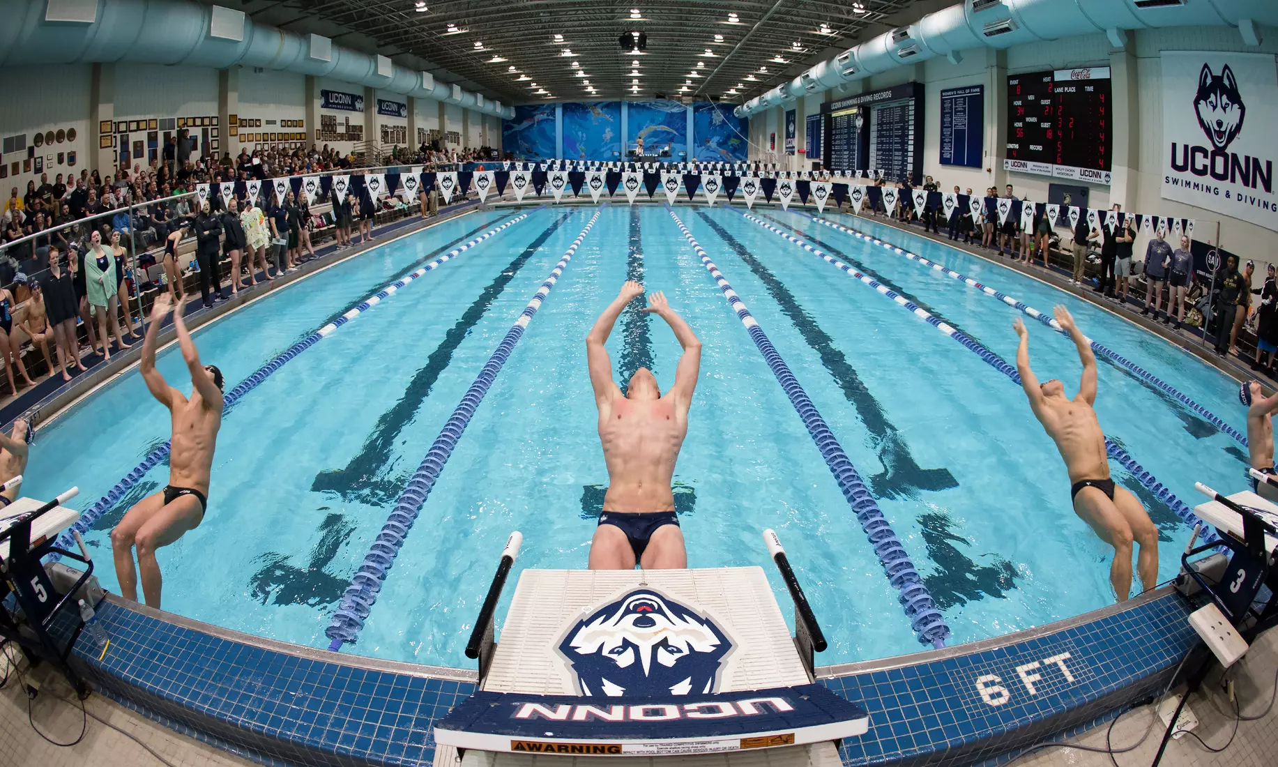 Swimming/Diving vs Army 11/2/19