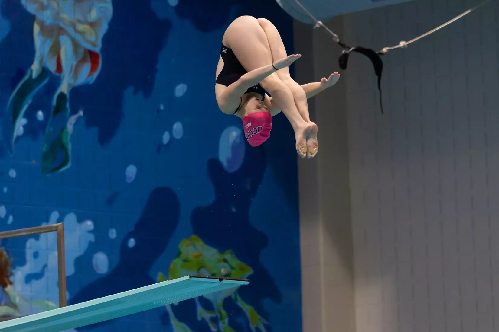UConn Swimming and Diving vs Georgetown at Wolff-Zackin Natatorium 10/23/21