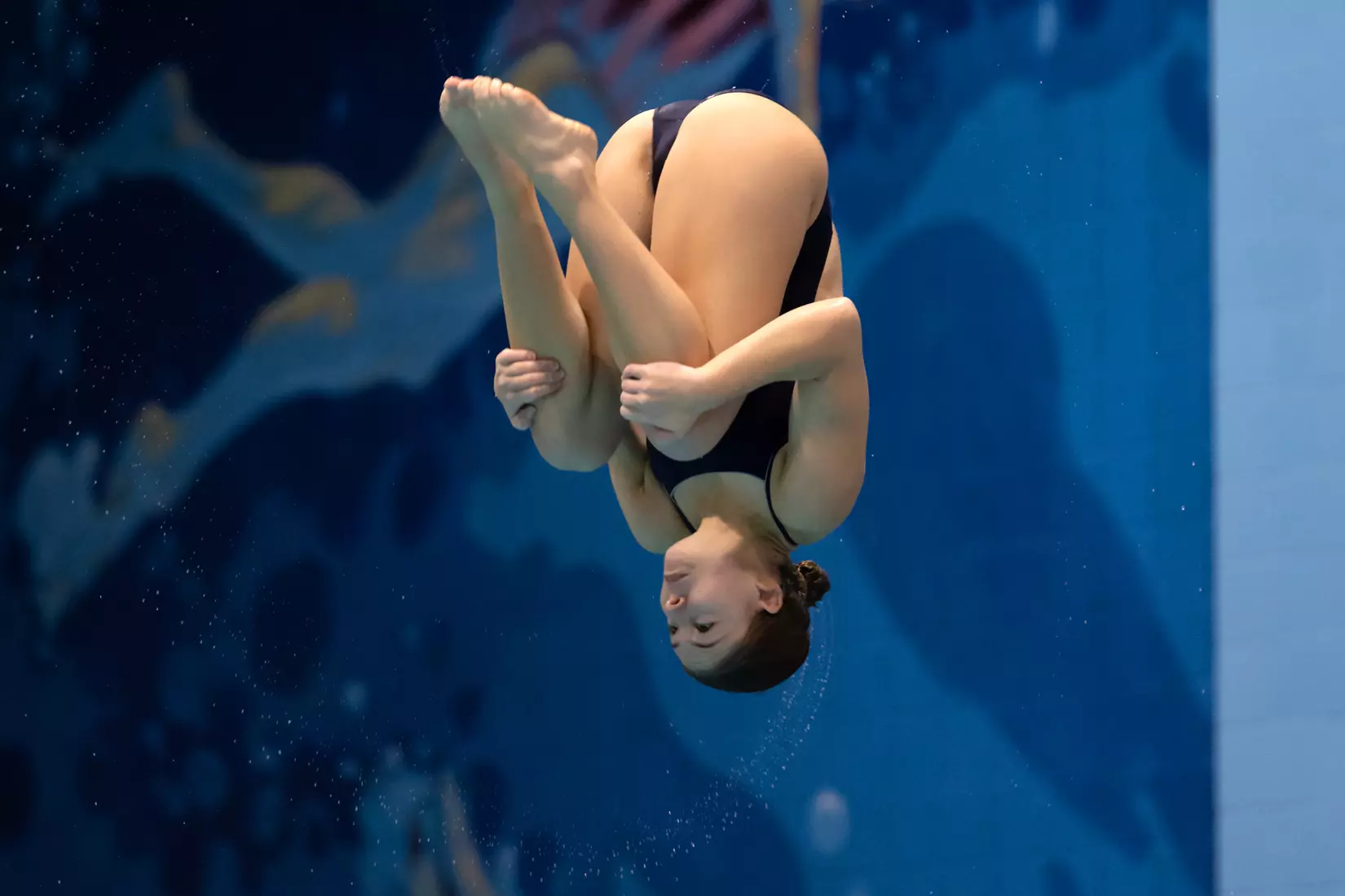 UConn Swimming and Diving vs Georgetown at Wolff-Zackin Natatorium 10/23/21