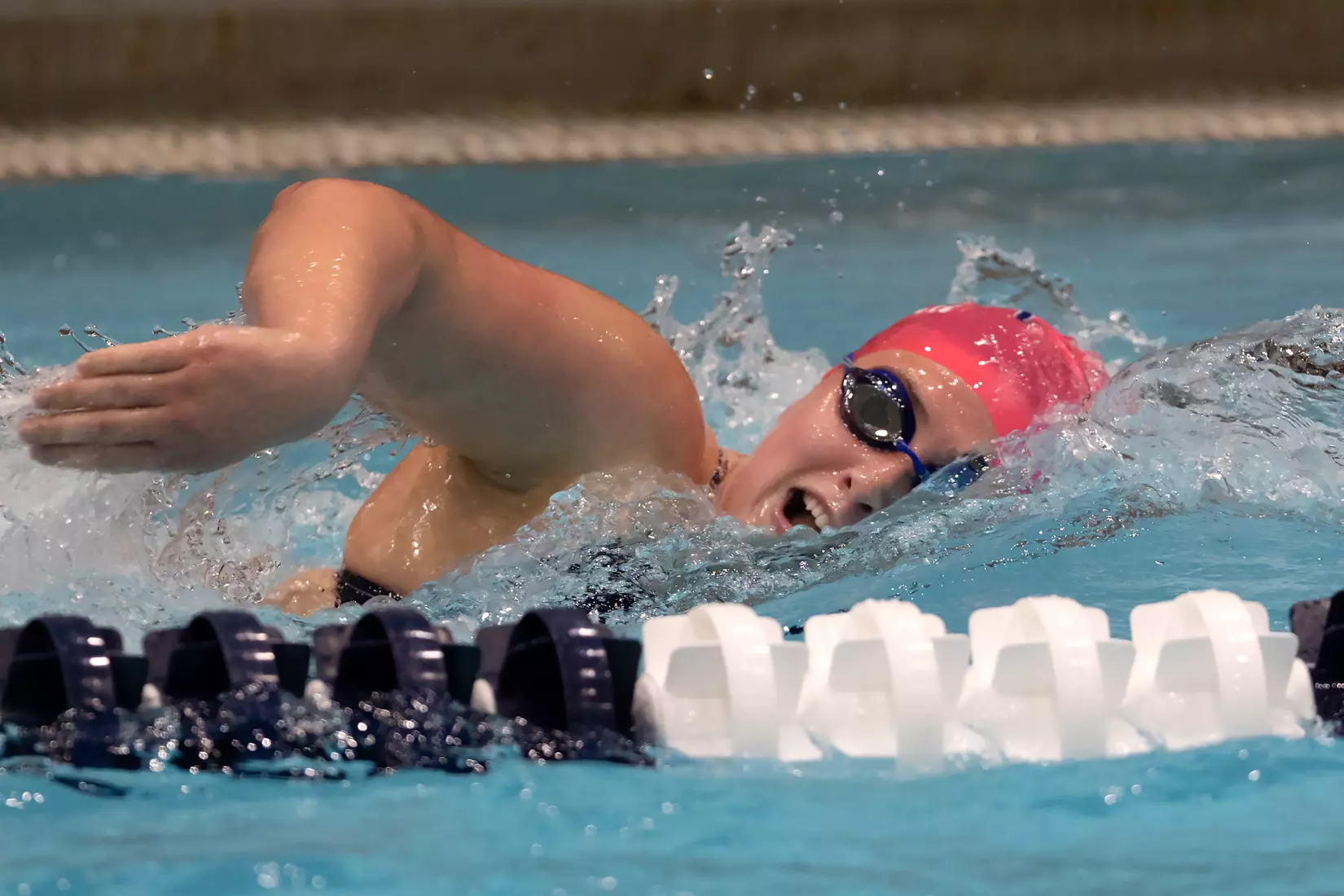 UConn Swimming and Diving vs Georgetown at Wolff-Zackin Natatorium 10/23/21