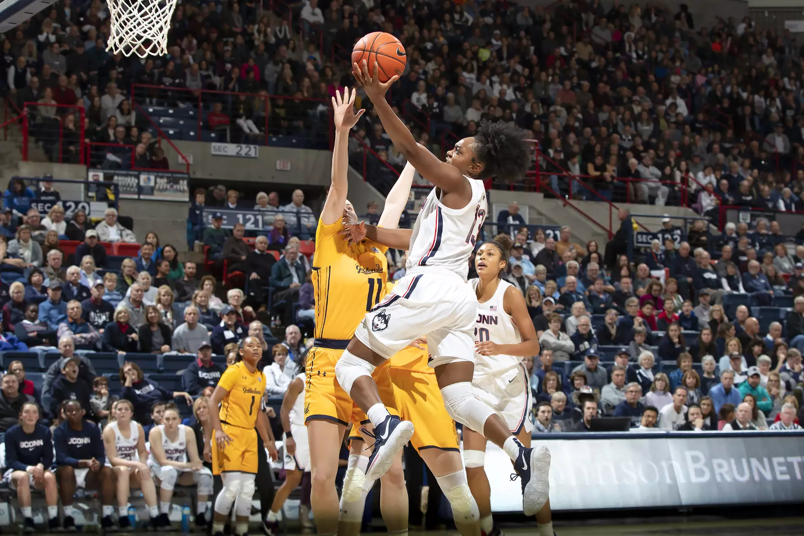 Uconn vs California 11/10/19