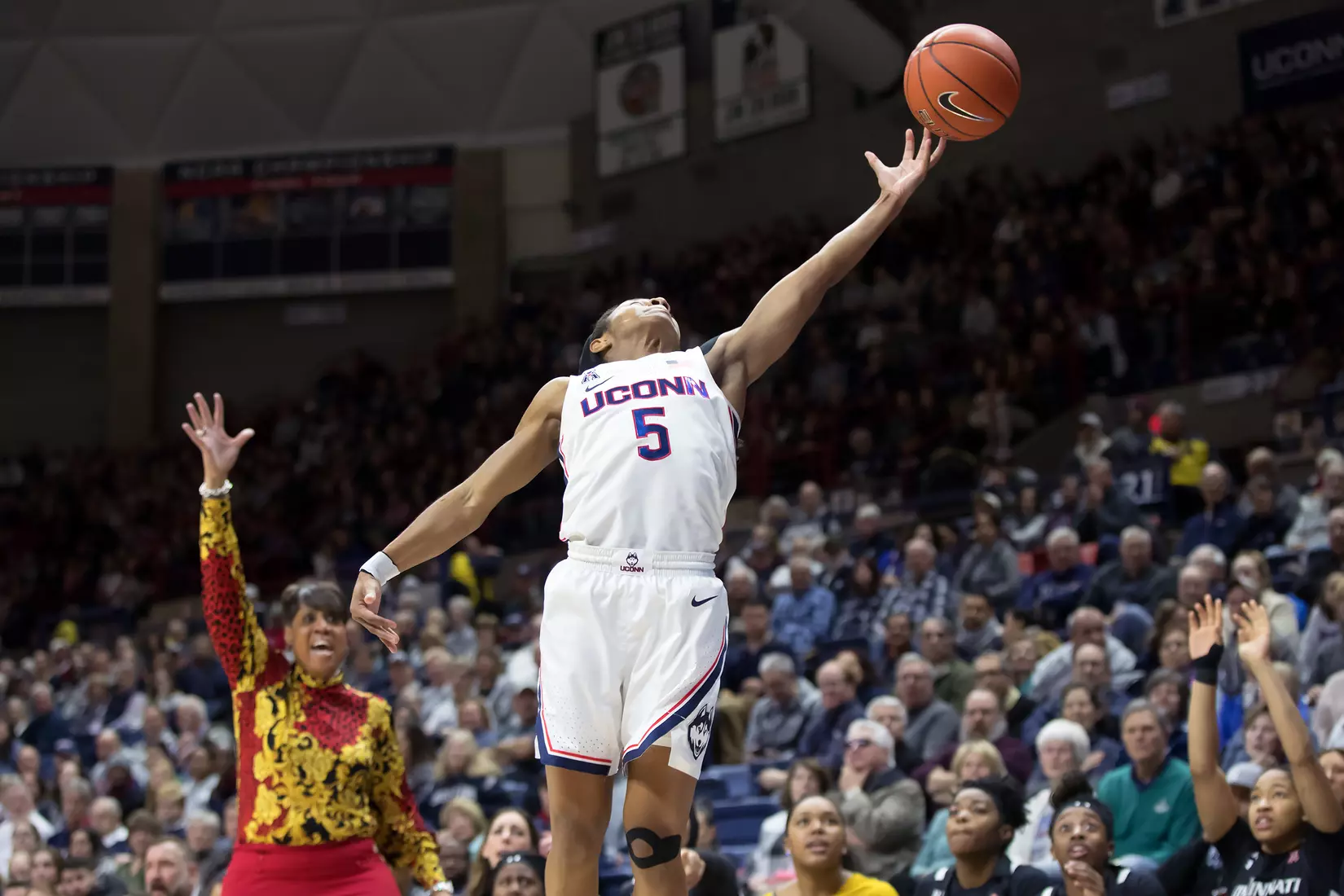 UConn vs Cincinnati 1/30/20