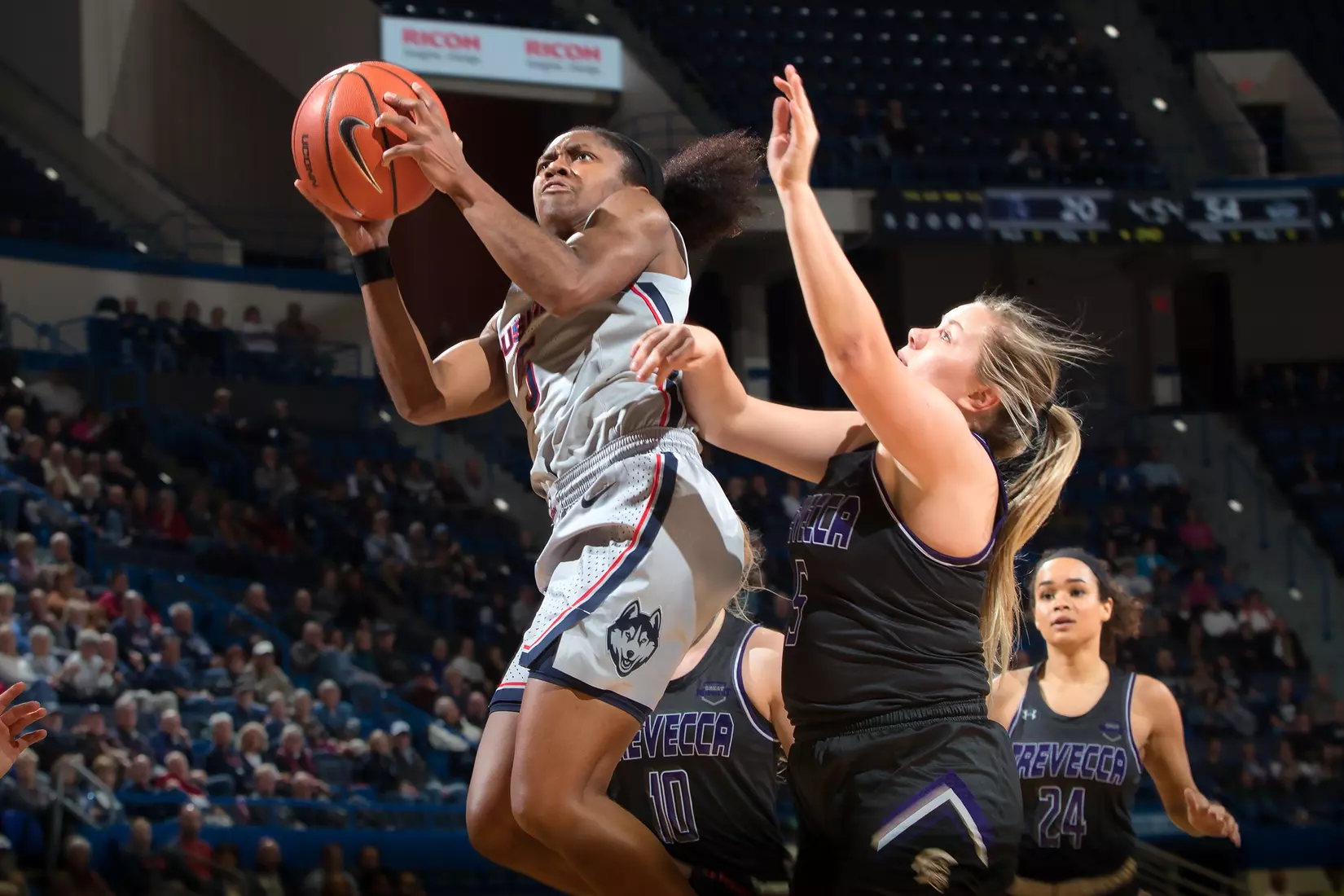 UConn vs Trevecca Nazarene 11/6/19