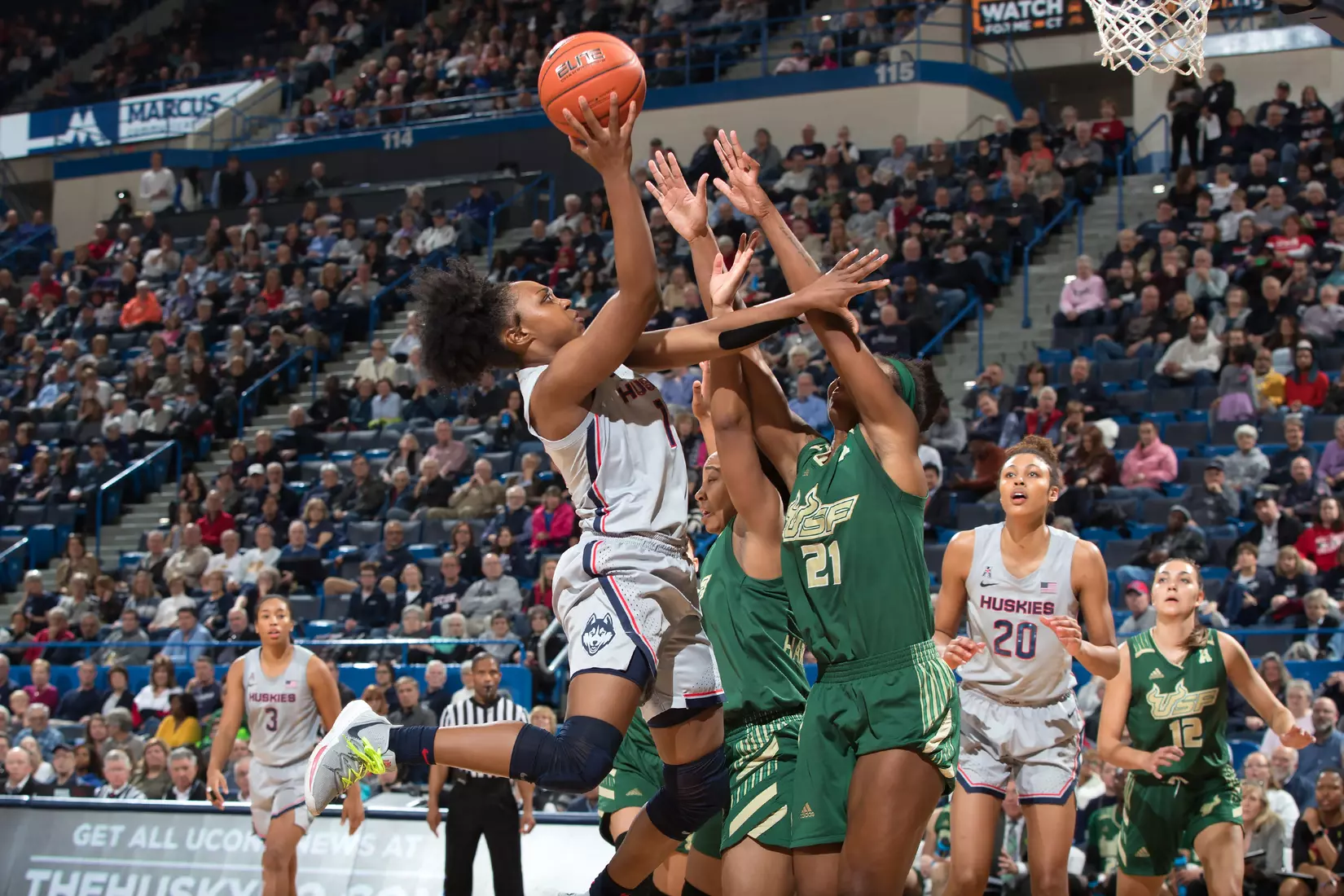 UConn vs USF 3/2/20