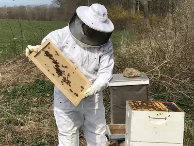 Sherman-Golembeski displays the top of the hive box.