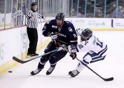 18 ff yale kondelik 1