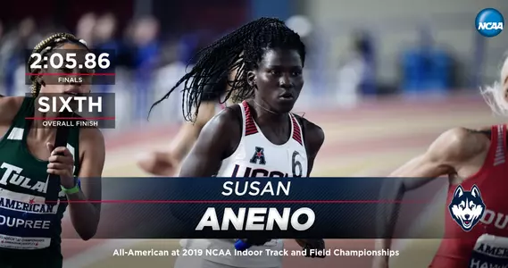 Aneno Indoor NCAA graphic 2019