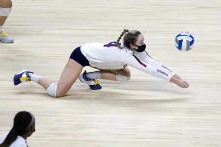 Parker Dig