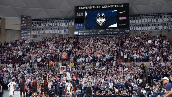 Gampel Fans