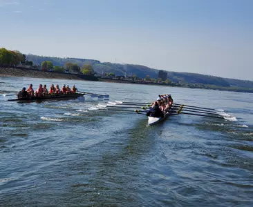 rowing action