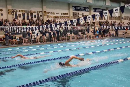 Swim/Dive