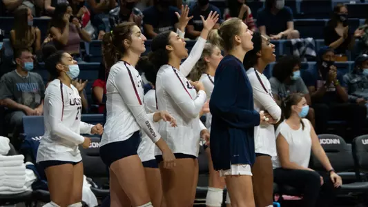 The UConn women's volleyball team's bench cheering