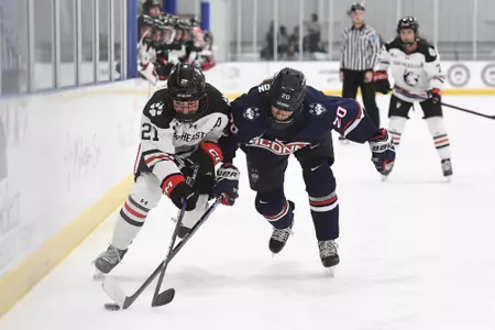 NCAA DI Womens Hockey- 2022 - Northeastern at UConn, Mark Edward Freitas Ice Forum, Storrs, Connecticut.