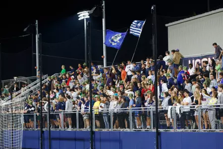 Morrone field