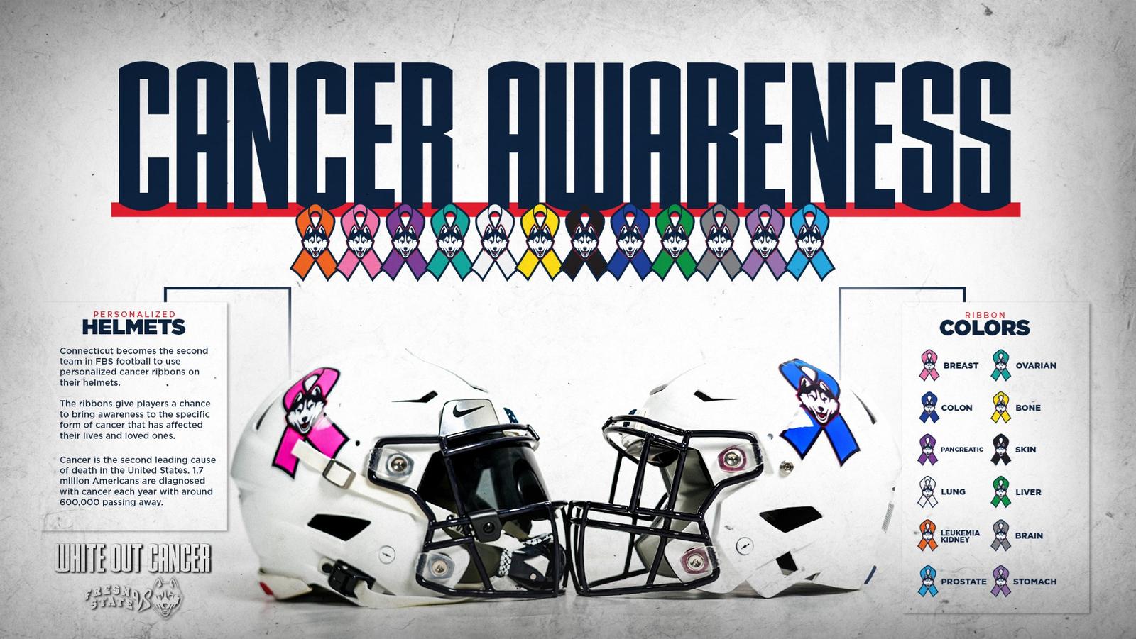 connetecut arena football helmet Connecticut Huskies Block C Riddell NCAA Speed Mini scale display helmet is perfect for all football fans and great for autographs AFL Connecticut Coyotes Mini Helmet