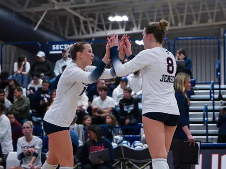 VB St. John's/Seton Hall Preview