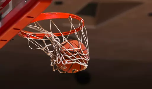 Basketball in Hoop (2010-11)