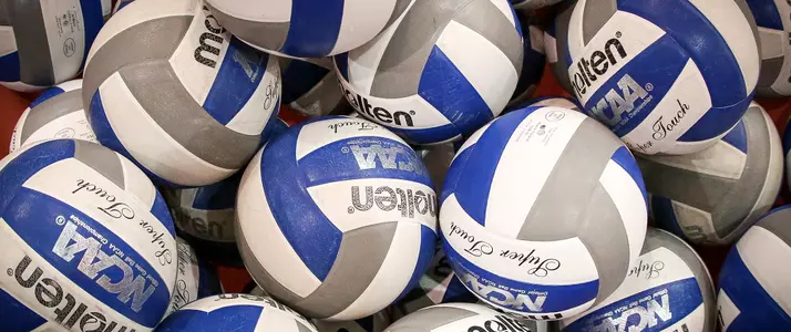 Volleyballs
