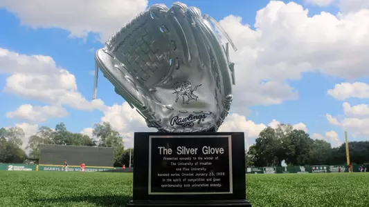 Silver Glove