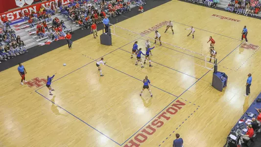 Volleyball Team Court