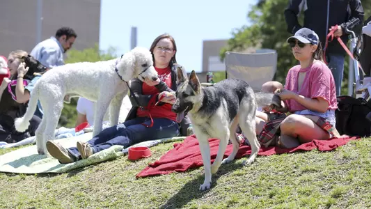 Bark in the Park