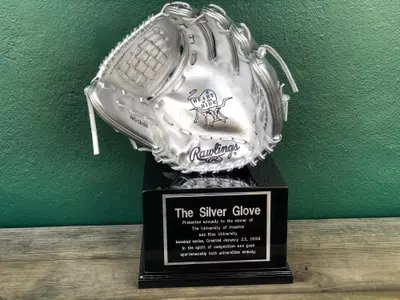 Silver Glove