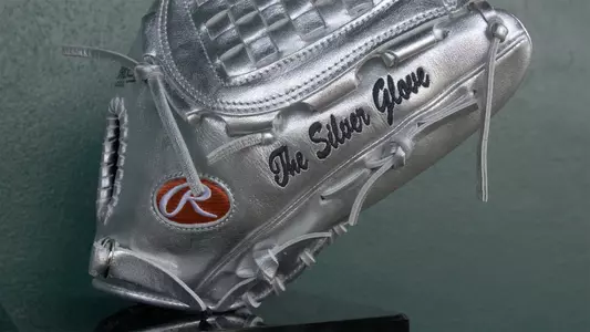 Silver Glove