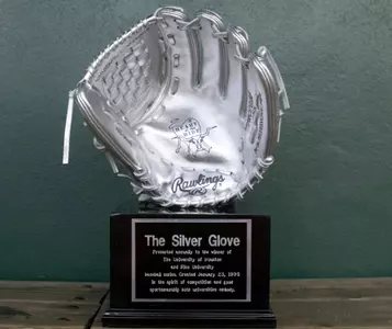 Silver Glove
