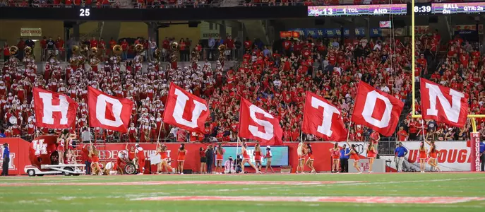 Houston Flags