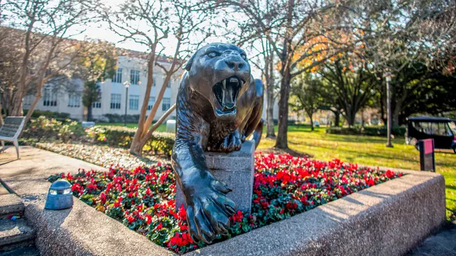 Cougar Pride Athletic Fund 2021 End-of-Year Giving Procedures