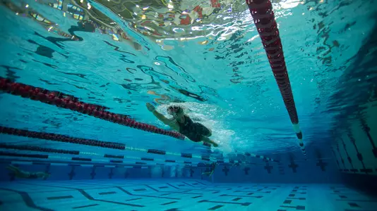 HOUSTON SWIMMING & DIVING