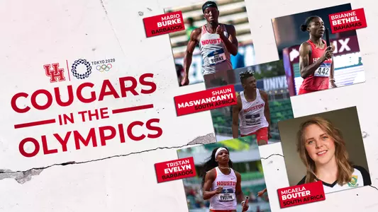 Cougars in the Olympics