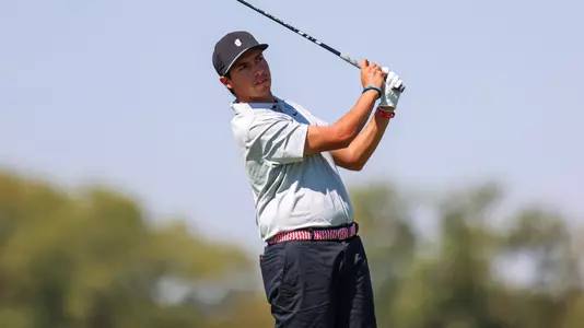 Santiago De La Fuente