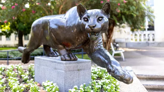 Statue Campus Cougar