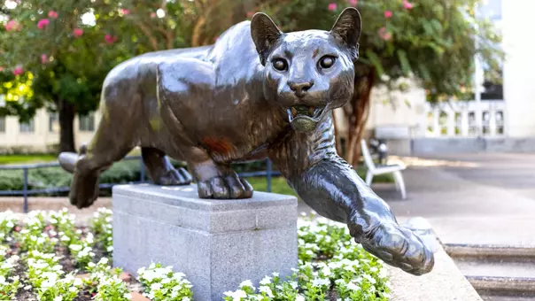 Statue Campus Cougar