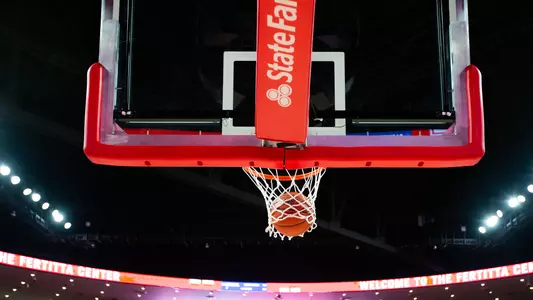 STOCK ball basket hoop net
