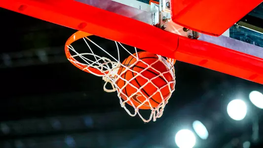 Basketball, Net