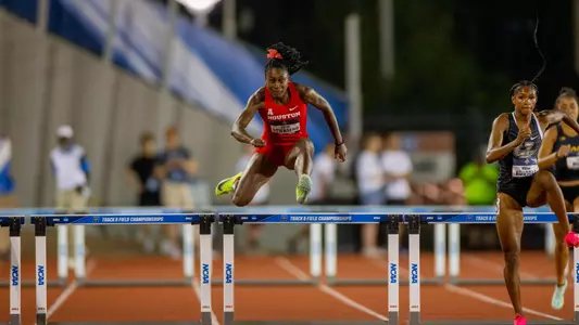 All Images are Copyright