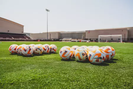 Soccer Balls on Field
