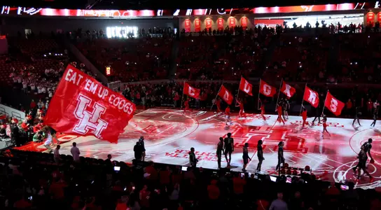 Fertitta Center, Flag