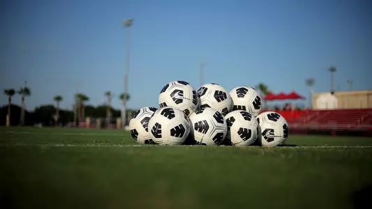 Soccer Balls