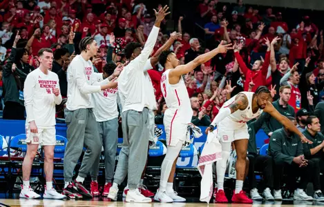 Action, Team, Bench, Cheer, Celebrate