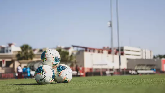 Soccer Balls on pitch