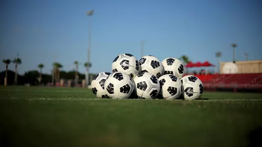 Soccer Balls