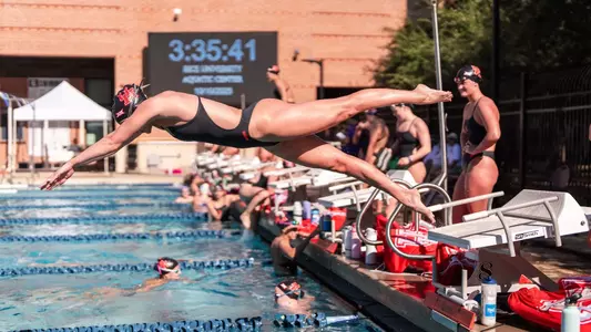 UH Swimmer jumping off starting platform into the pool