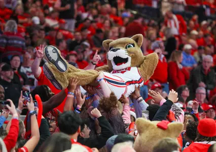 Spirit, Shasta, Crowd Surf