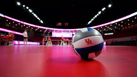 Stock Volleyball