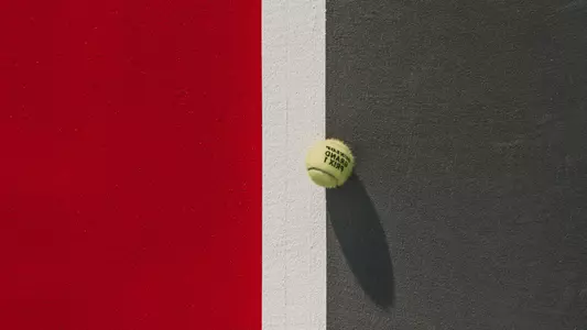 Tennis ball