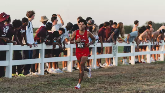 David Soto