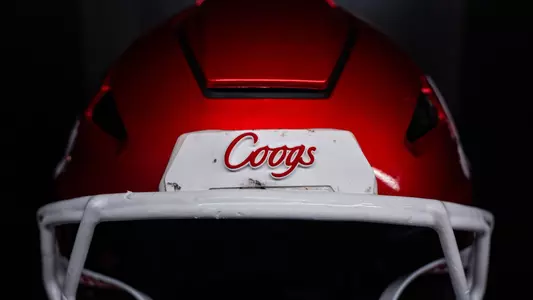 STOCK helmet
